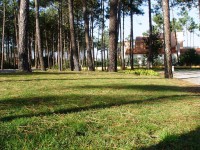 /album/galeria-de-fotos-home/gardens-13-jpg/